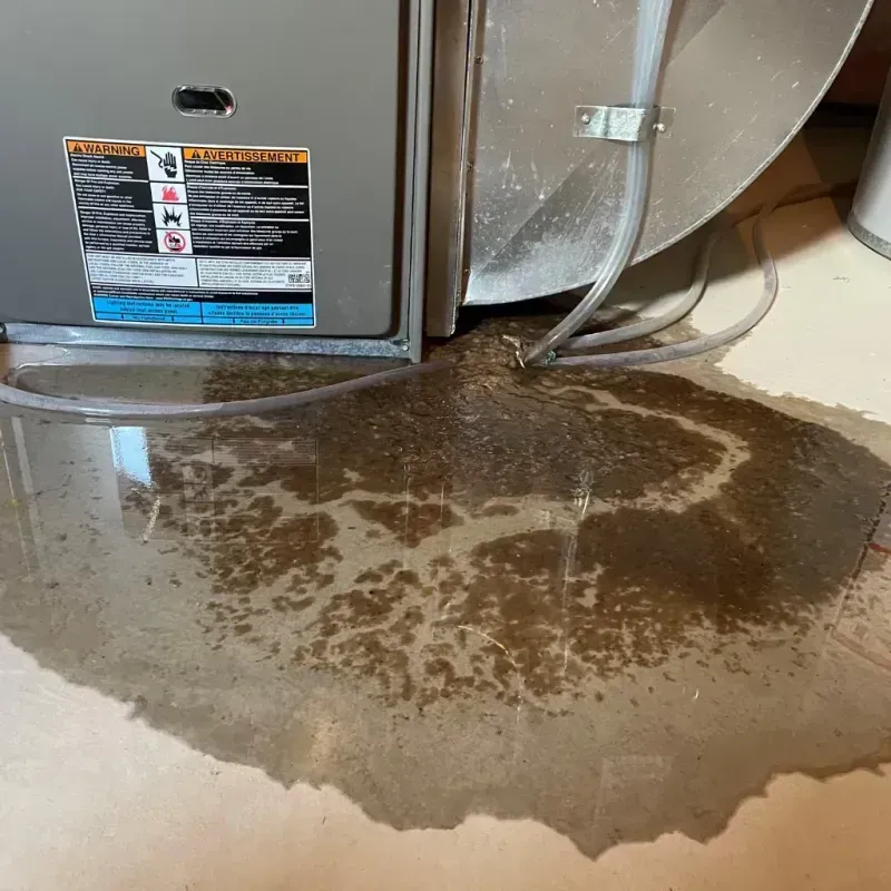 Appliance Leak Cleanup in Avila Beach, CA